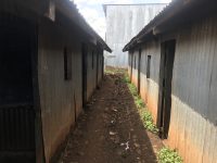 Längan med klassrum till vänster och höger